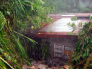 typhoonflorita7.jpg